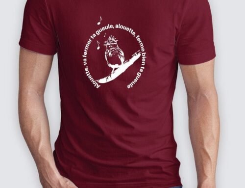 Les t shirts humour décalé